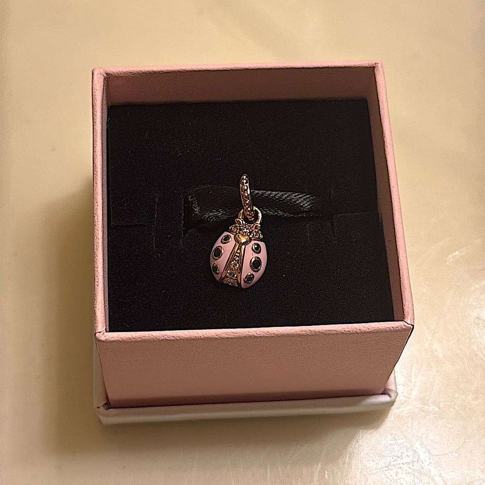 Gorgeous Pandora charm 🐞
